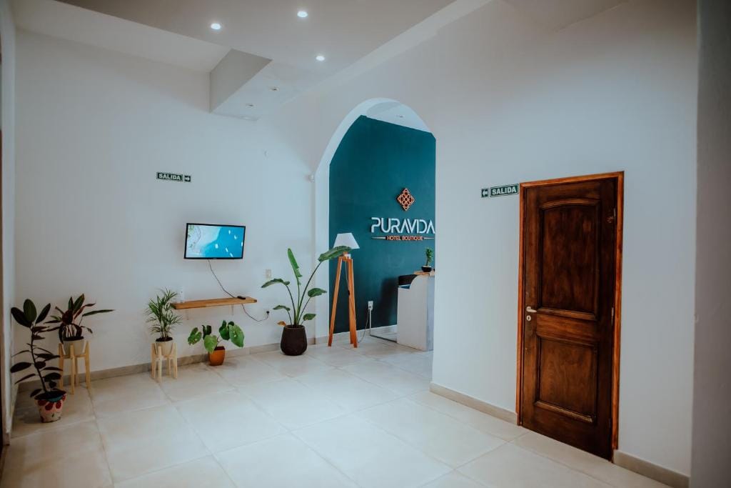Pura Vida Concordia — 2