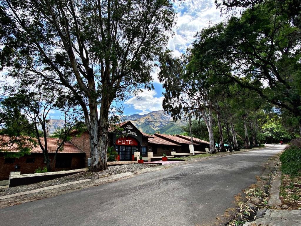 Altos del Rincón — 1
