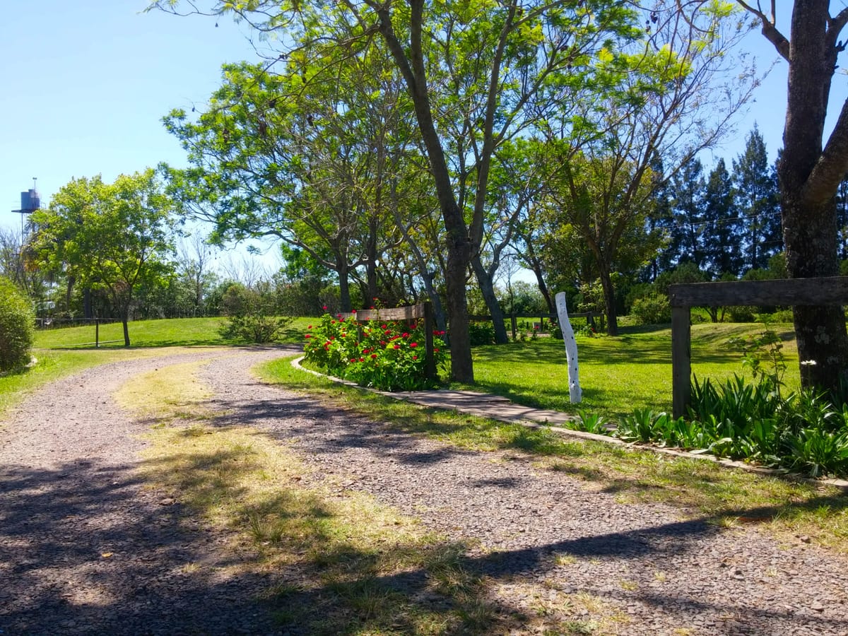 Hotel Los Brunos Lodge & Golf — 5